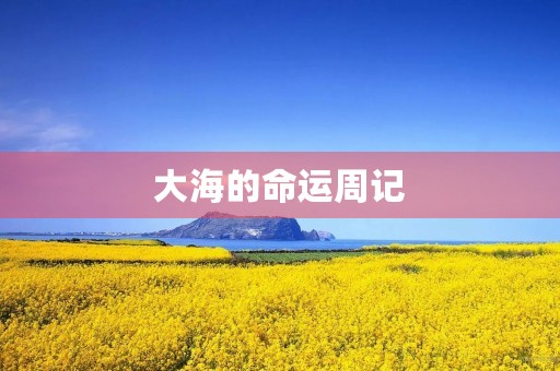 大海的命运周记 大海的命运周记