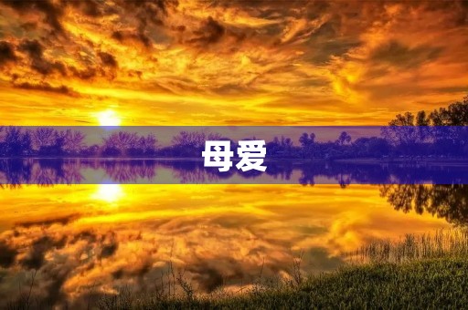 母爱 母爱