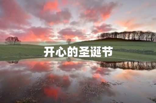 开心的圣诞节 开心的圣诞节
