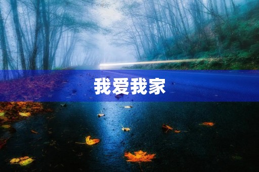 我爱我家 我爱我家