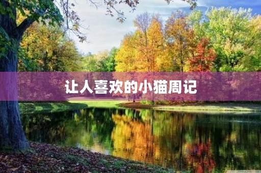 让人喜欢的小猫周记 让人喜欢的小猫周记