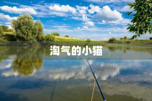 淘气的小猫 淘气的小猫