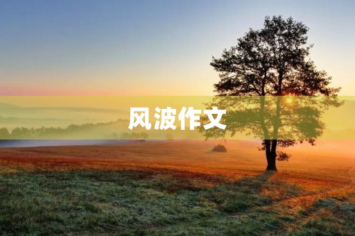 风波作文