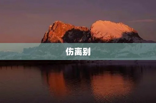 伤离别 伤离别