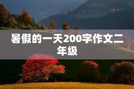 暑假的一天200字作文二年级 暑假的一天200字作文二年级