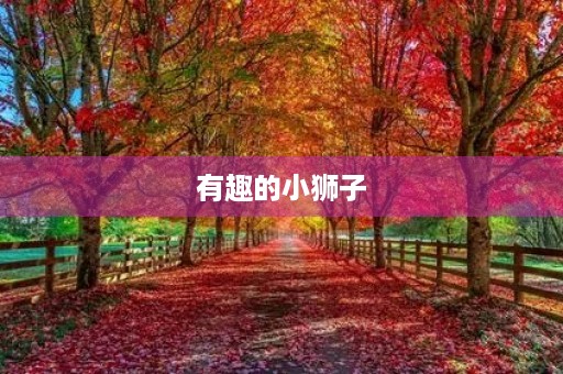 有趣的小狮子 有趣的小狮子