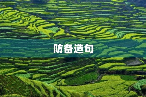 防备造句 防备造句