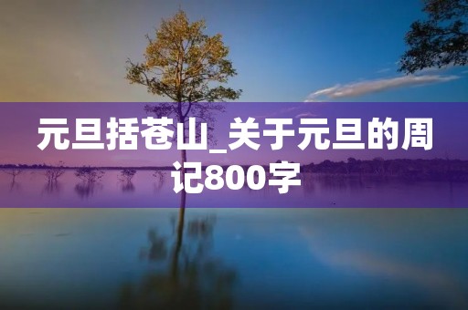 元旦括苍山_关于元旦的周记800字