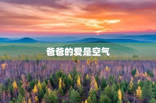 爸爸的爱是空气