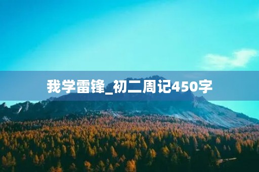 我学雷锋_初二周记450字