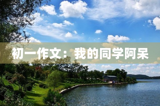 初一作文:我的同学阿呆 初一作文:我的同学阿呆