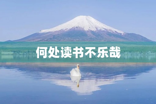 何处读书不乐哉