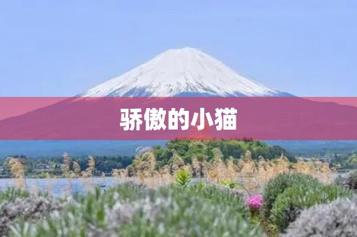 骄傲的小猫 骄傲的小猫