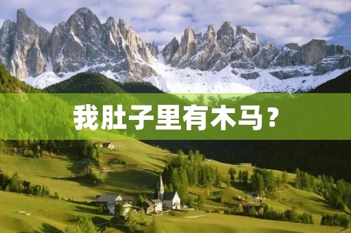 我肚子里有木马？