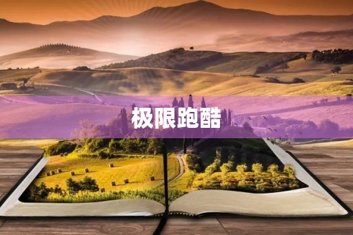 极限跑酷 极限跑酷