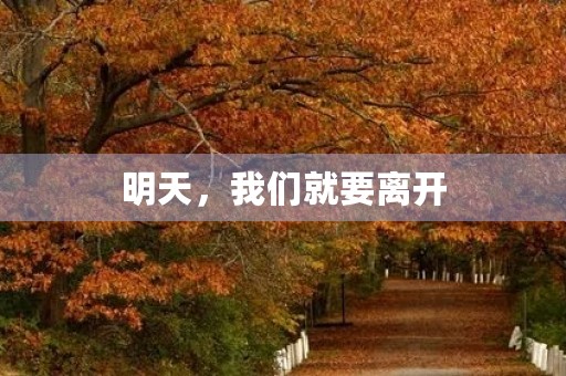 明天,我们就要离开 明天,我们就要离开