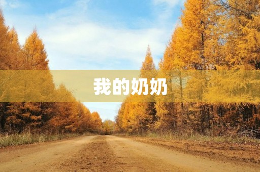 我的奶奶
