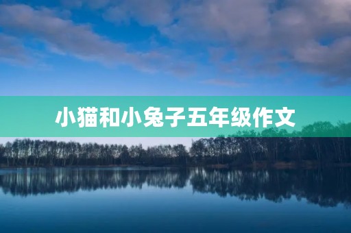 小猫和小兔子五年级作文