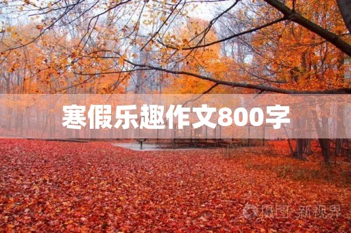 寒假乐趣作文800字