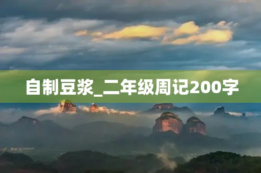 自制豆浆_二年级周记200字