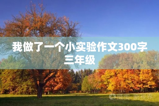 我做了一个小实验作文300字三年级 我做了一个小实验作文300字三年级