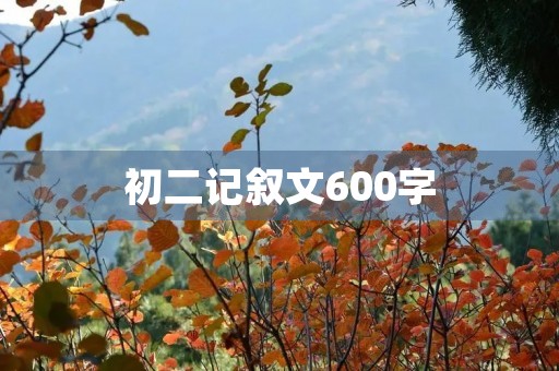 初二记叙文600字