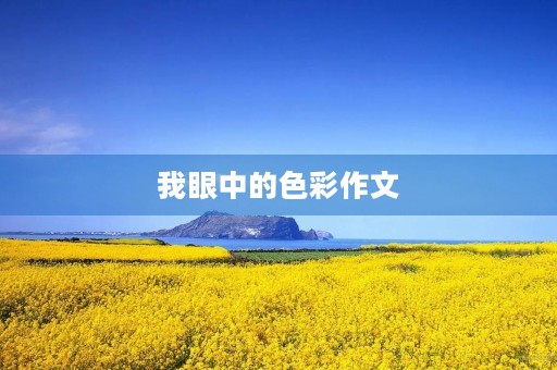 我眼中的色彩作文 我眼中的色彩作文