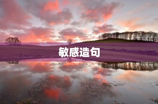 敏感造句 敏感造句