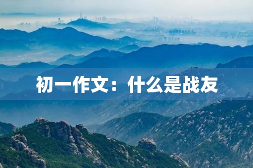 初一作文:什么是战友 初一作文:什么是战友