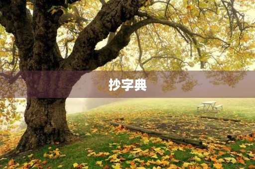 抄字典