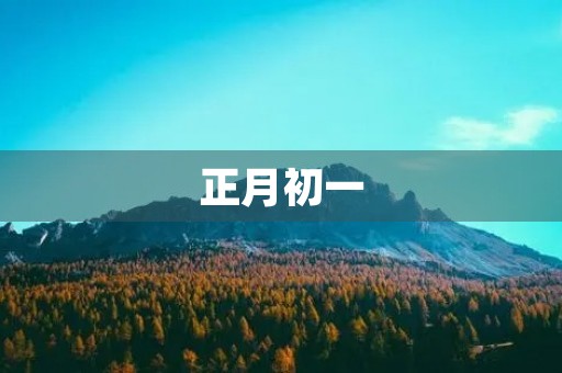 正月初一