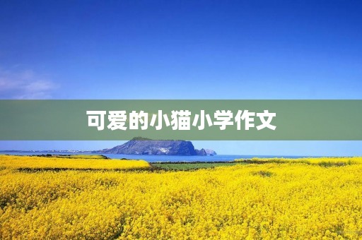 可爱的小猫小学作文 可爱的小猫小学作文