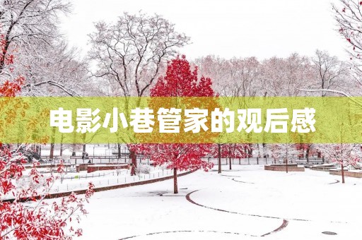电影小巷管家的观后感 电影小巷管家的观后感