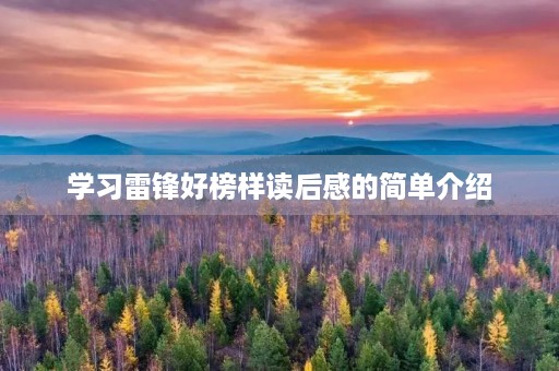 学习雷锋好榜样读后感的简单介绍 学习雷锋好榜样读后感的简单介绍