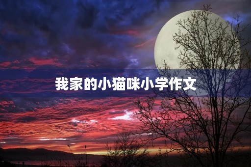 我家的小猫咪小学作文