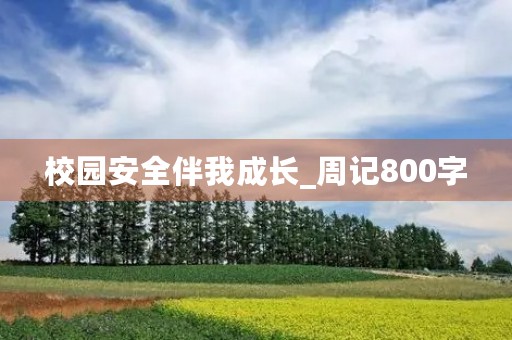 校园安全伴我成长_周记800字 校园安全伴我成长_周记800字
