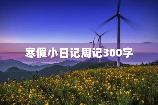 寒假小日记周记300字