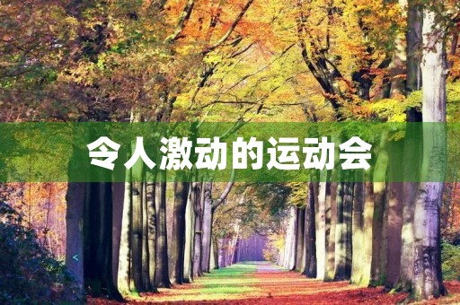 令人激动的运动会 令人激动的运动会