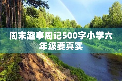 周末趣事周记500字小学六年级要真实