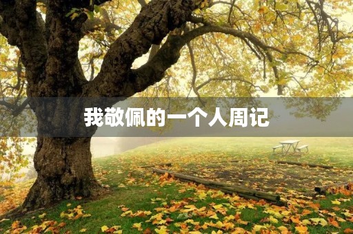 我敬佩的一个人周记 我敬佩的一个人周记