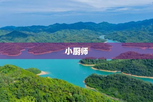 小厨师