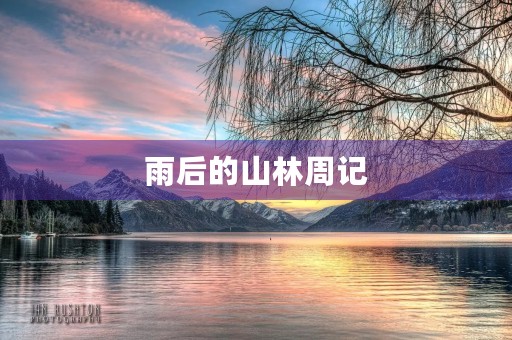 雨后的山林周记