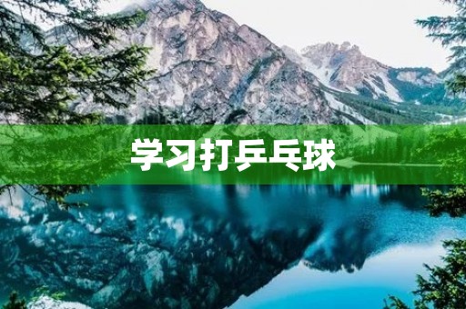 学习打乒乓球 学习打乒乓球