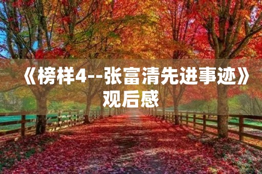 《榜样4--张富清先进事迹》观后感 《榜样4--张富清先进事迹》观后感