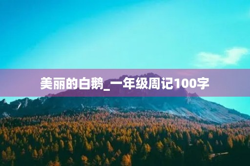 美丽的白鹅_一年级周记100字