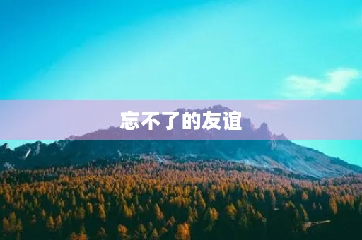 忘不了的友谊 忘不了的友谊