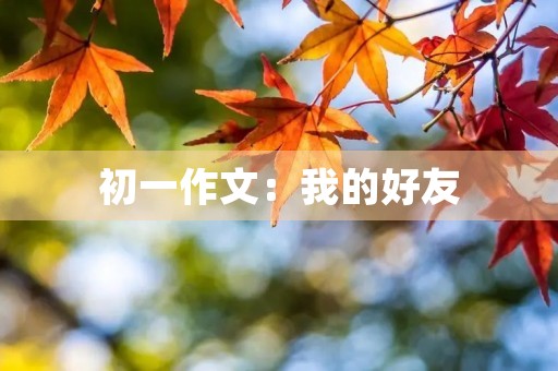 初一作文:我的好友 初一作文:我的好友