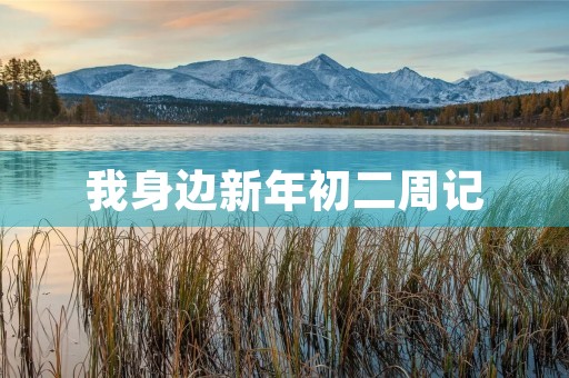 我身边新年初二周记 我身边新年初二周记