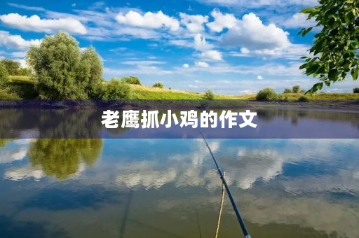 老鹰抓小鸡的作文 老鹰抓小鸡的作文