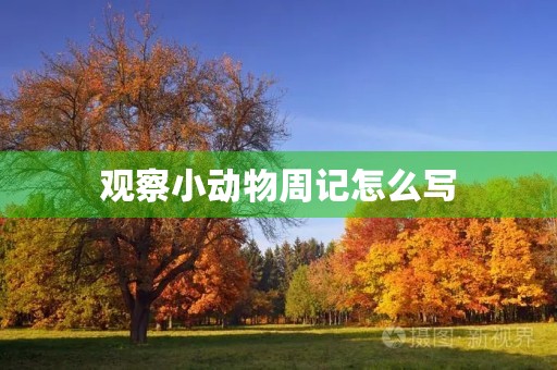观察小动物周记怎么写 观察小动物周记怎么写